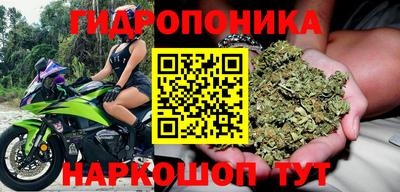 индика Комсомольск-на-Амуре