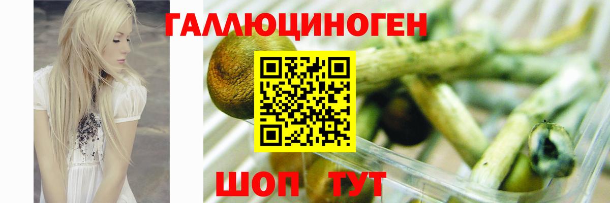 Псилоцибиновые грибы мухоморы  Вход с VPN  Галлюциногенные грибы GOLDEN TEACHER  Аксай 